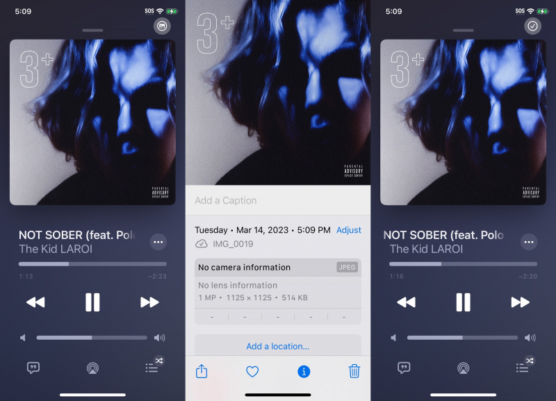   MusicArtworkSave примерни изображения.